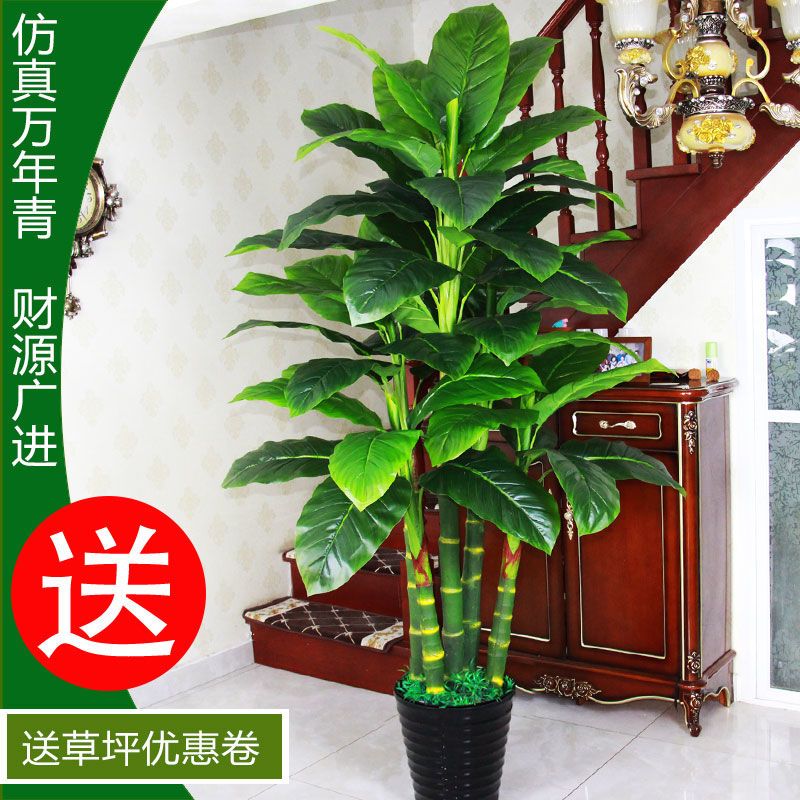 假盆栽假树仿真树落地室内盆栽大型客厅盆景装饰花仿真绿植万年青 虎窝拼