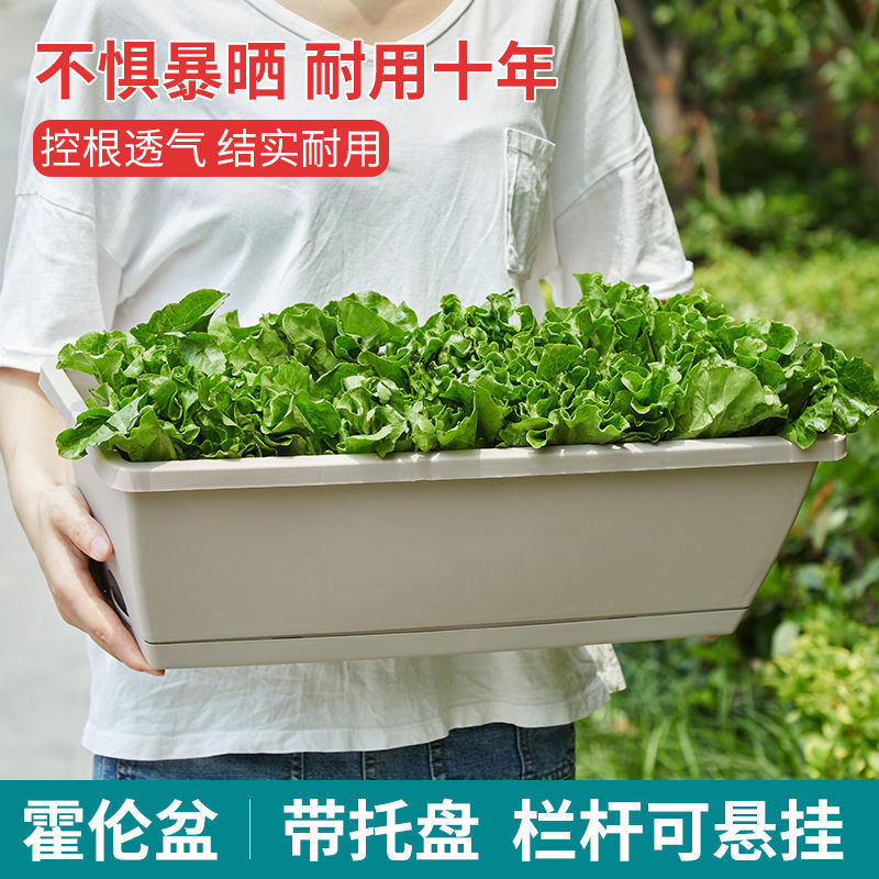 Horun Vegetable Pot Rectangular Flower Pot Special Pot for Vegetables Vegetable Pot Extra Large Indoor Vegetable Strip Flower Pot
