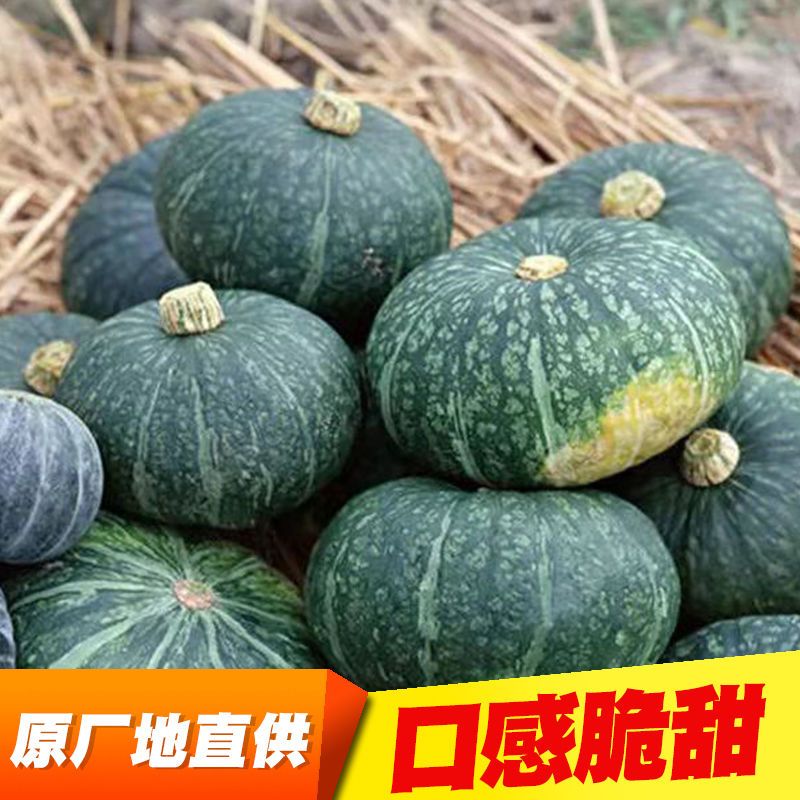 75718-贝贝南瓜新鲜甜糯正宗超甜好吃天然现摘个头饱满批发板栗奶油南瓜-详情图