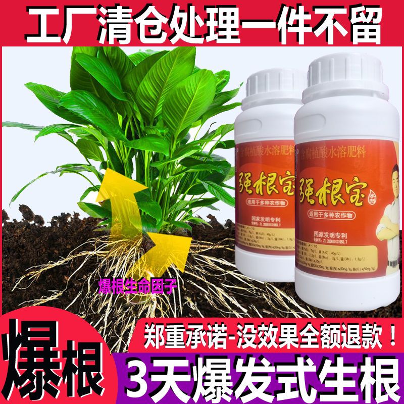 强根宝 夏季大促宝强代言黄腐酸叶面肥植物调节剂,生根剂发根