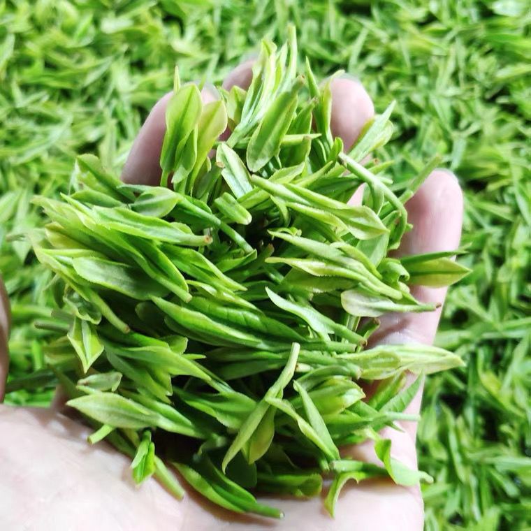 宜良宝洪茶