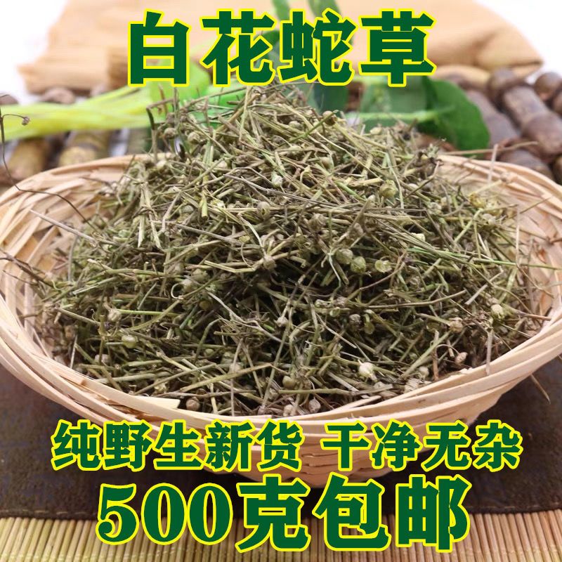 野生白花舌草中药材百花蛇草新鲜泡茶入药白花蛇草50克500克包邮【3月