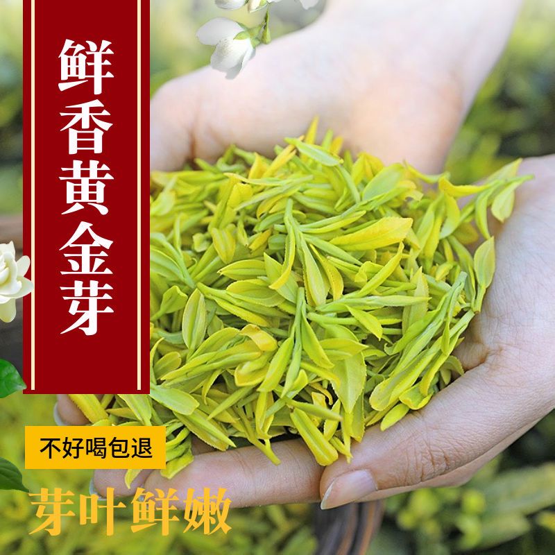 特价黄金芽茶叶绿茶2021新茶嫩芽高档毛尖批发正宗浓香型黄金茶叶