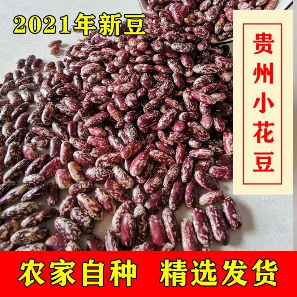 21新四季豆新花豆饭豆腰豆花芸豆红豆类五谷杂粮贵州特产酸菜豆米