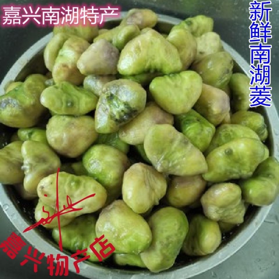 嘉兴南湖菱种红菱种新鲜冰冻绿菱米菱角仁四角红菱盆栽菱苗菱秧