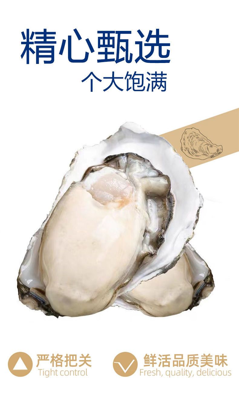 海鲜水产批发价格 273e3a42-fed4-40cd-9bdc-12c5e8733941.jpeg.a.jpeg