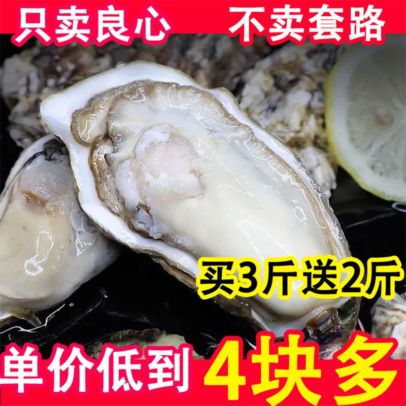 【生蚝】乳山生蚝鲜活牡蛎特大新鲜海蛎子贝类海鲜水产批发5/10斤