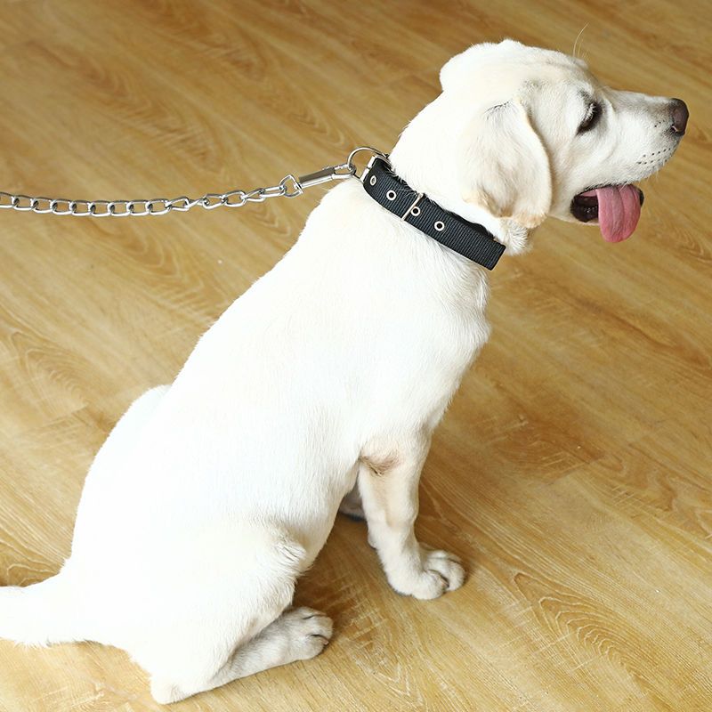 Anti-bite dog chain dog traction rope golden retriever iron chain dog walking rope small and medium-sized large dogs adjustable