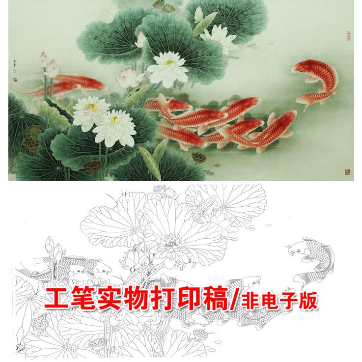 x718路雨年荷花鲤鱼横幅白描底稿工笔画国画花鸟四六尺临摹线稿