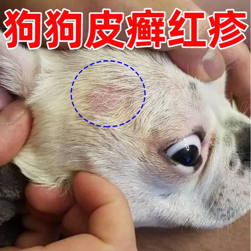 狗狗皮癣药【皮肤病克星】治真菌螨虫狗狗红疹脱毛