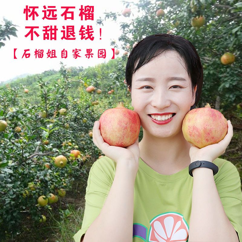 怀远石榴安徽甜新鲜水果包邮当季大果孕妇云南蒙自突尼斯软籽无仔