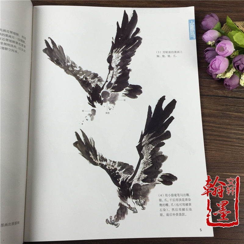 千姿百态画雄鹰 吴祖略 国画飞禽老鹰画法国画入门书