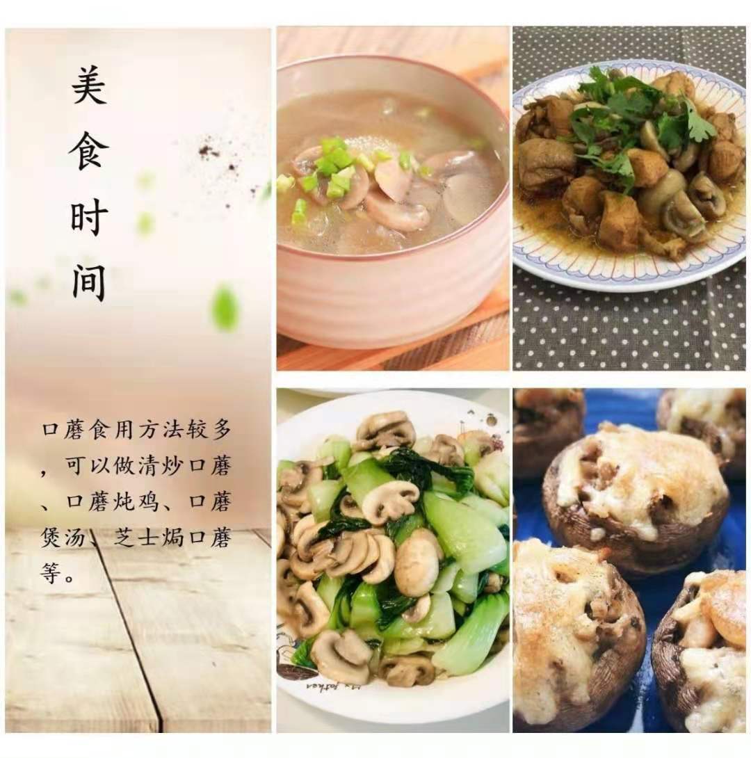 春之言 内蒙古特产新货特级口蘑干货双孢菇新鲜煲汤食材白蘑菇干批发价格