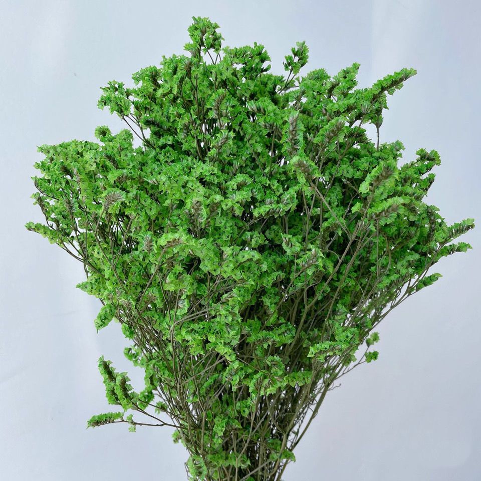 永生花水晶草 厂家直销 家居装饰摆件 花束 花篮 干花