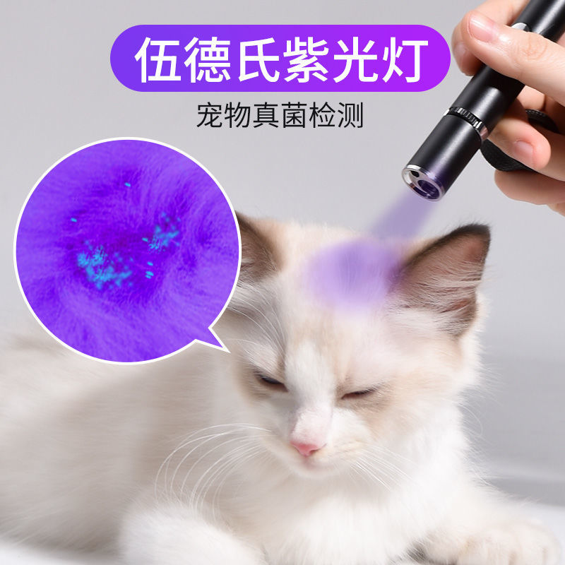 猫咪激光笔逗猫棒可照猫癣紫光灯逗猫笔激光棒神器猫玩具幼猫用品