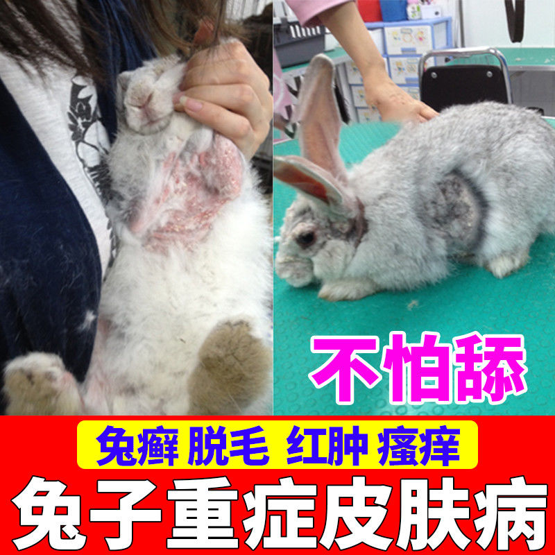 兔子皮肤病专用药治真菌感染兔癣喷雾脱毛红肿结痂皮炎外用兔子药
