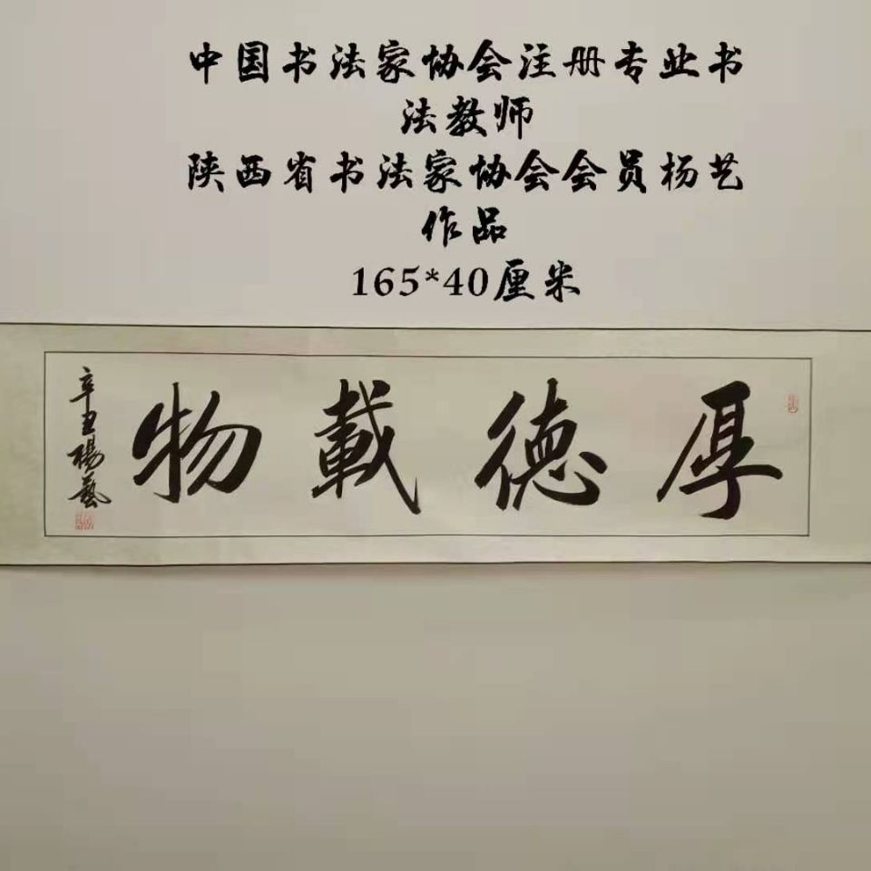 书画进万家行动中国书法家协会会员注册专业书法教师杨艺作品真迹