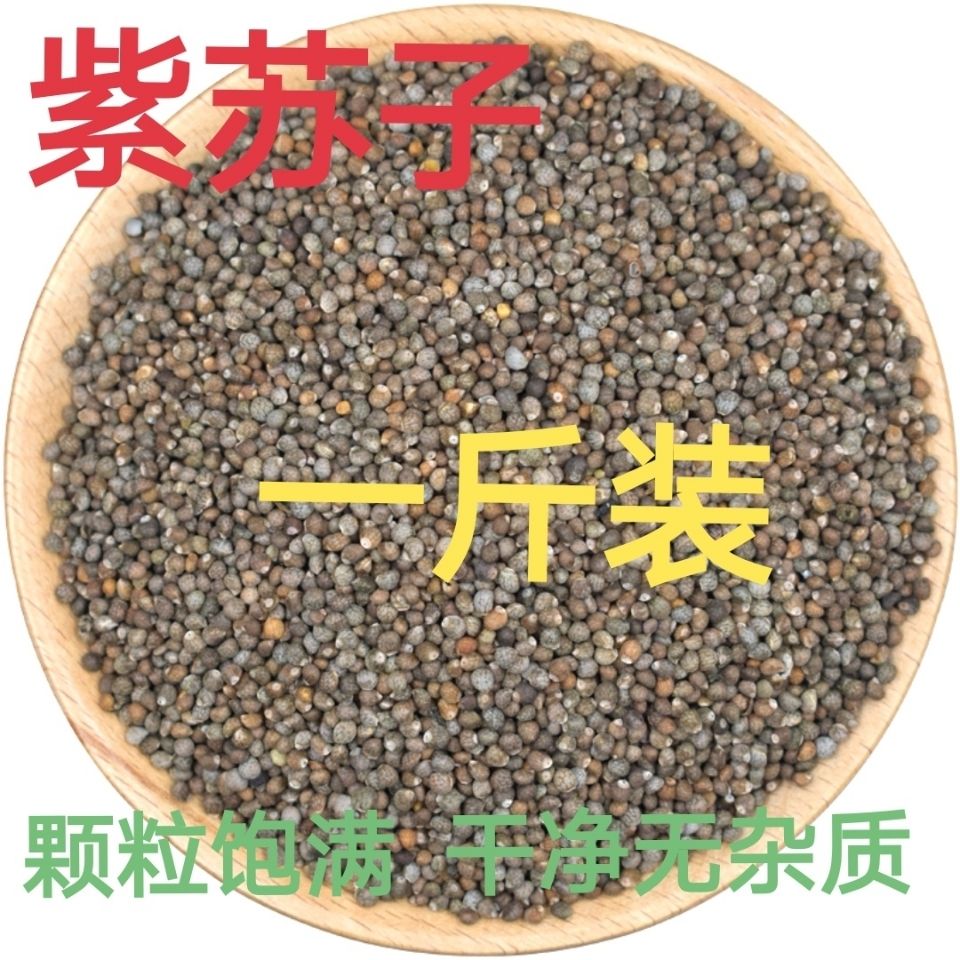 苏子 生紫苏籽 黑苏子 紫苏子 东北紫苏子中药材 包邮【3月12日发完】