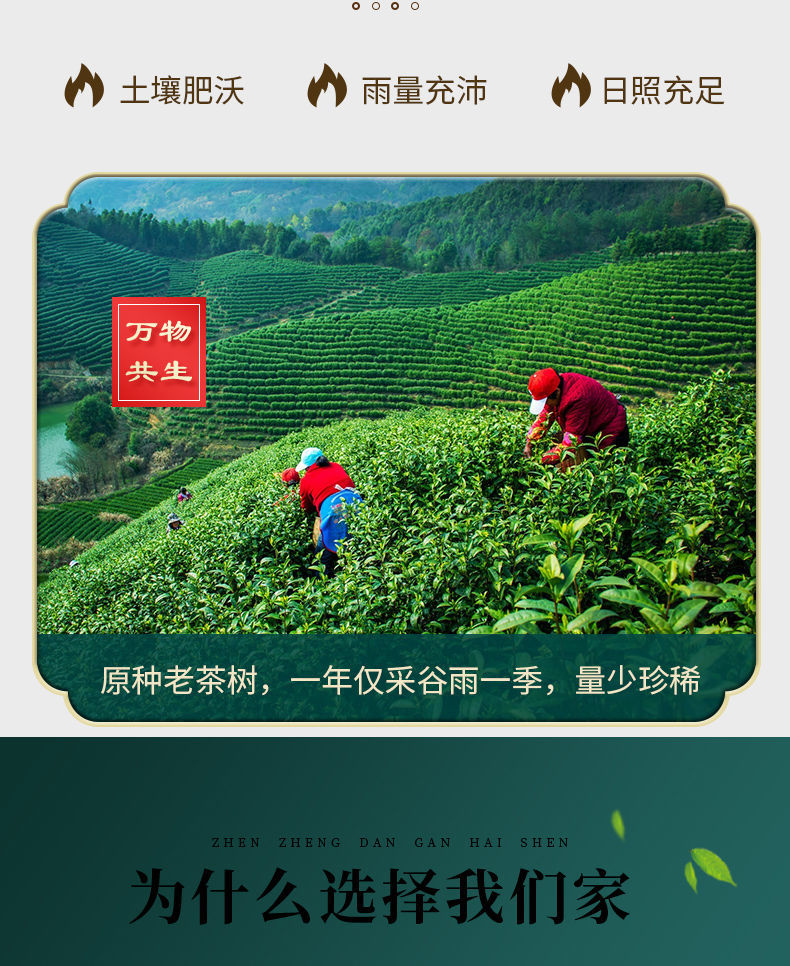 田道谷 【茶农价】正宗六安瓜片茶叶新茶雨前特级安徽特产口粮绿茶