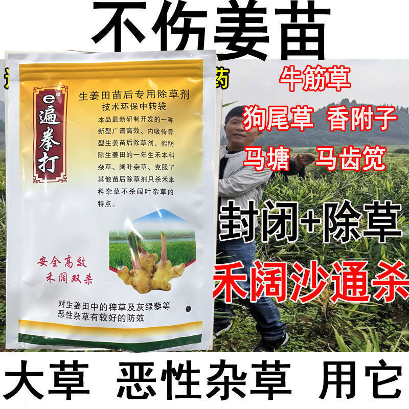 生姜专用除草剂大姜除草剂生姜专用除草剂封闭加除草不伤姜禾阔莎