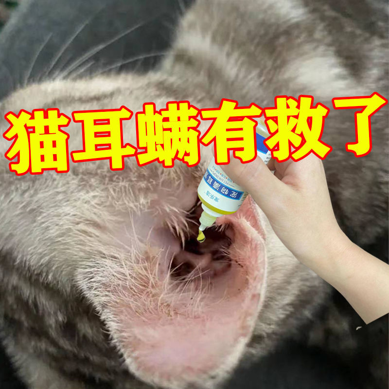 【耳朵当天净】猫耳螨滴耳液耳臭流脓耳炎摇头晃耳瘙痒发热变红