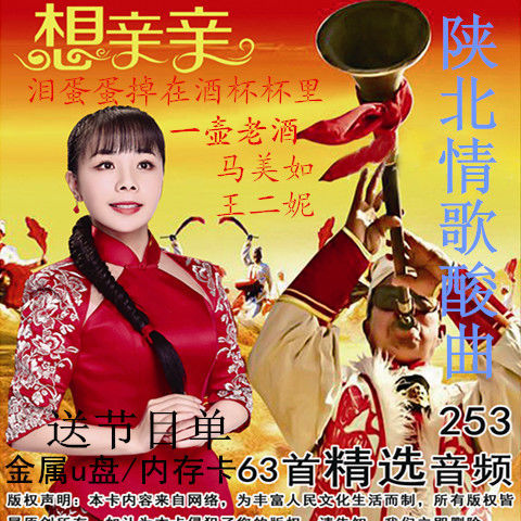 内存卡陕北酸曲情歌u盘一壶老酒mp3歌曲泪蛋蛋掉进酒杯杯里王二妮