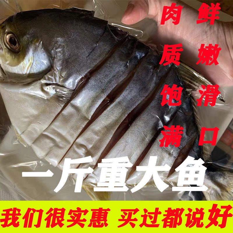 79083-湛江特产金鲳鱼干新鲜野生深海淡晒鲳鱼干货海鲜昌鱼肉腌制咸鱼干-详情图