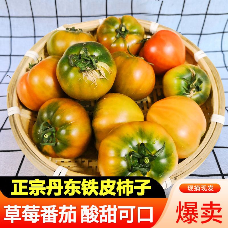 【爆品热卖】丹东铁皮柿子草莓西红柿碱地铁柿子新鲜番茄蔬菜批发