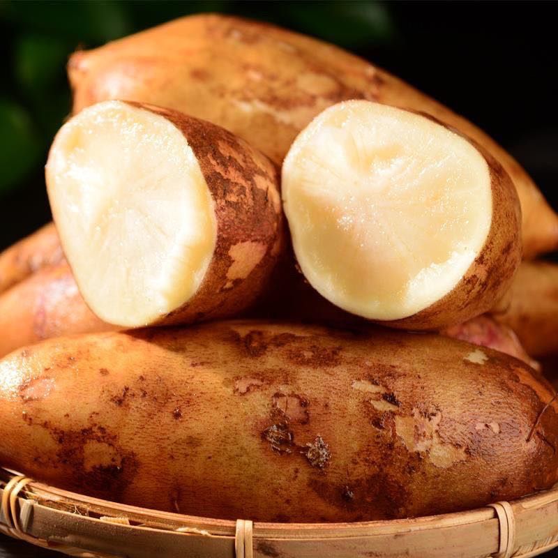 雪莲果红黄心正宗天山雪莲果水果批发新鲜现挖低糖水果现挖现发