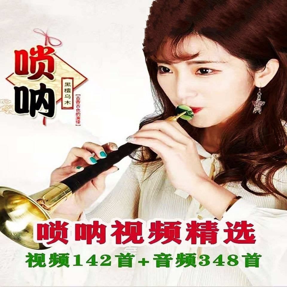 唢呐串烧独奏tf内存卡 美女唢呐 大唢呐 唢呐串烧mp3音箱播放u盘
