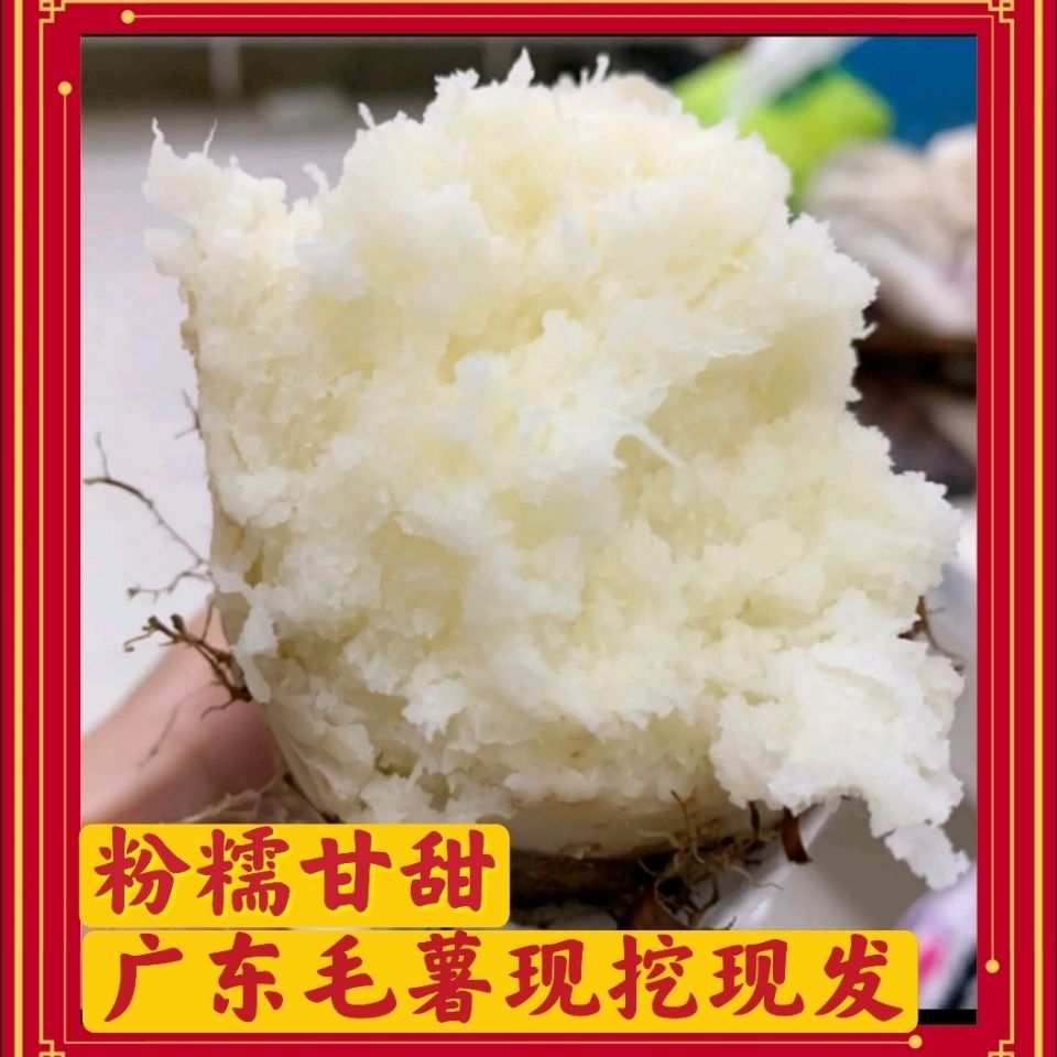 75645-广东毛薯甜薯猪仔薯农家新鲜现挖田薯火苕薯脚板薯粉糯自种山药-详情图