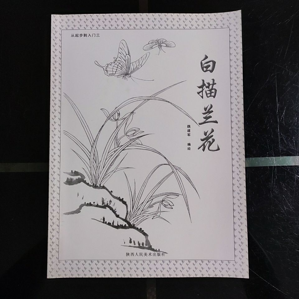 从起步到入门三 白描兰花 初学国画绘画临摹技法 陕西人民美术