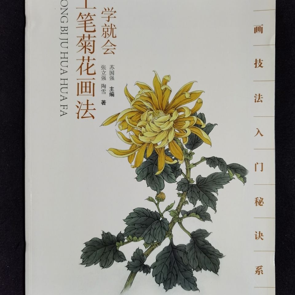 一学就会:工笔菊花画法 大8开