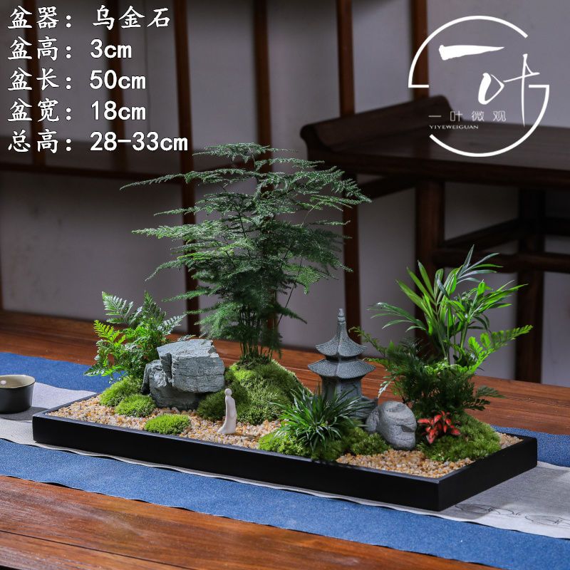 文竹微景观室内枯新中式日式装饰摆件办公室禅意茶桌面盆景