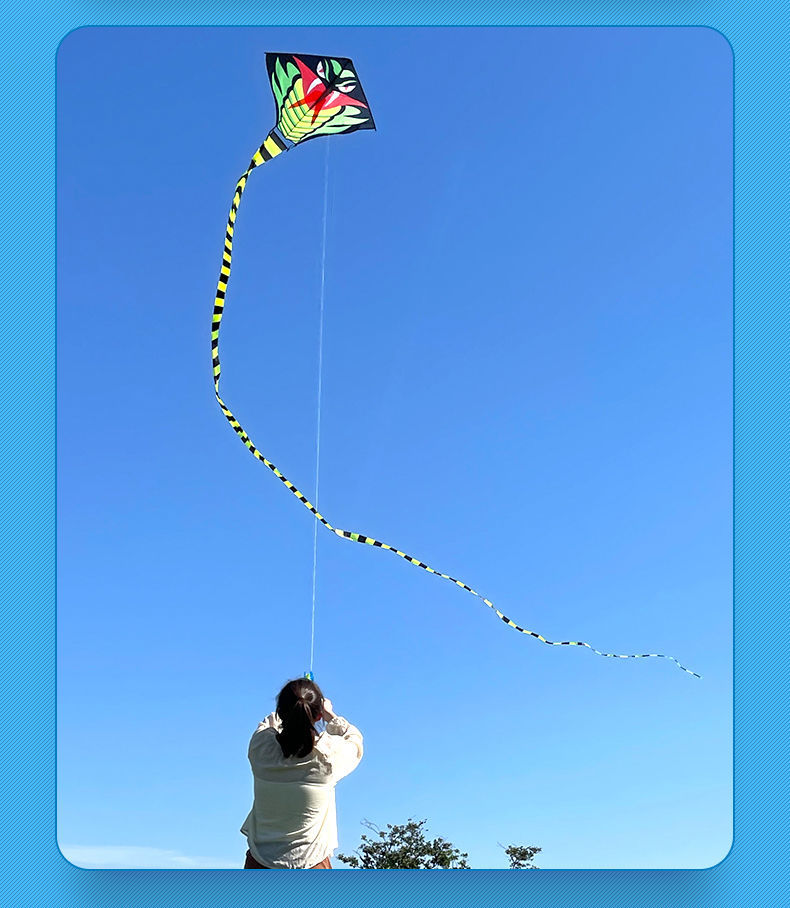 潍坊风筝超长30米蛇风筝儿童成人初学者微风易飞超大型成人批发
