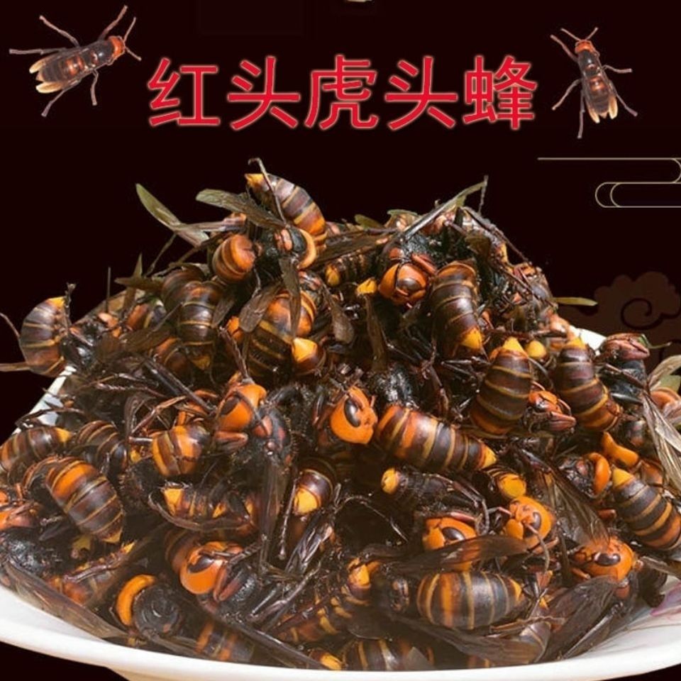【正宗】地龙蜂现发大红头蜂比金环大虎头蜂大马蜂胡蜂大黑蜂红娘
