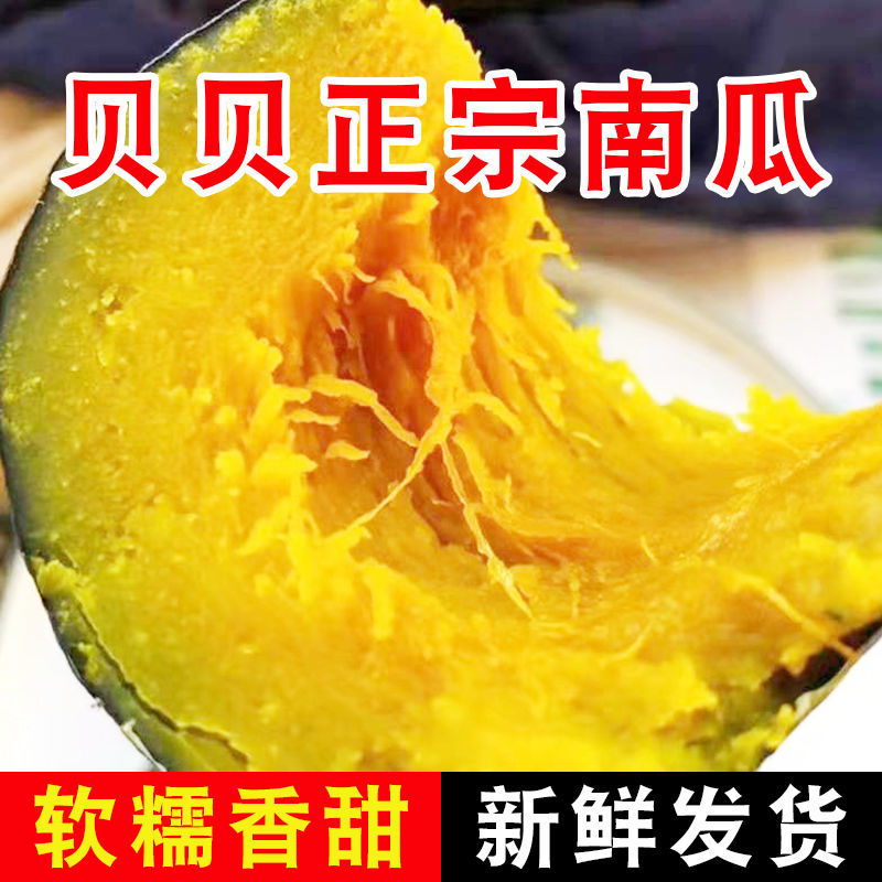 75718-贝贝南瓜新鲜甜糯正宗超甜好吃天然现摘个头饱满批发板栗奶油南瓜-详情图