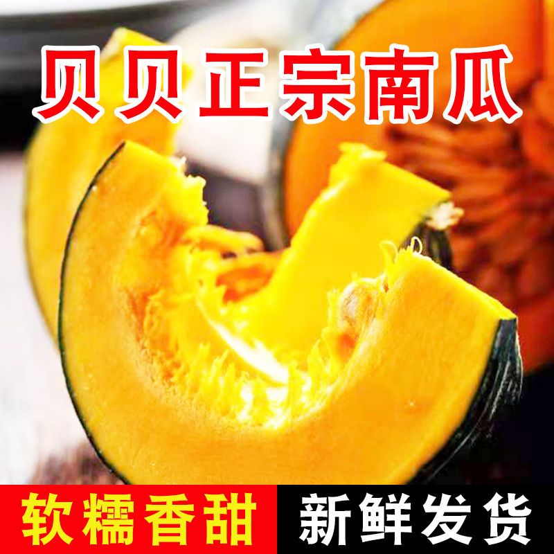 75718-贝贝南瓜新鲜甜糯正宗超甜好吃天然现摘个头饱满批发板栗奶油南瓜-详情图