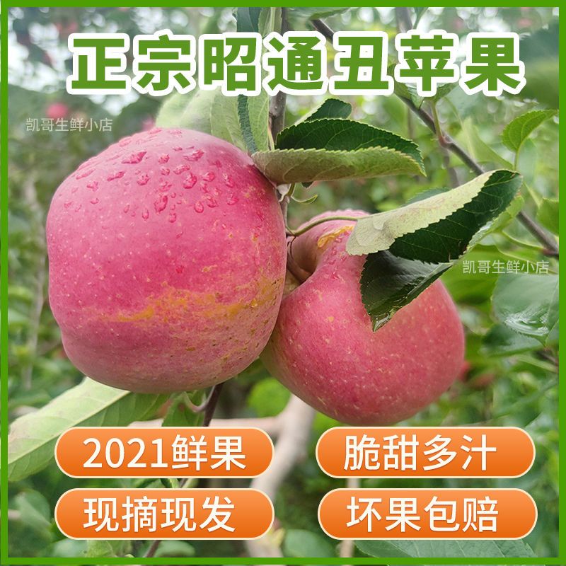 75761-云南昭通丑苹果冰糖心水果野生新鲜脆甜当季整箱红富士野萍果平果-详情图