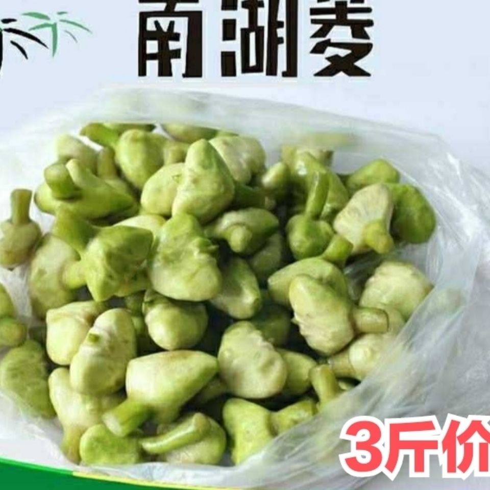 嘉兴南湖菱无角菱红菱角新鲜南湖绿菱米菱角仁四角红菱煮吃老