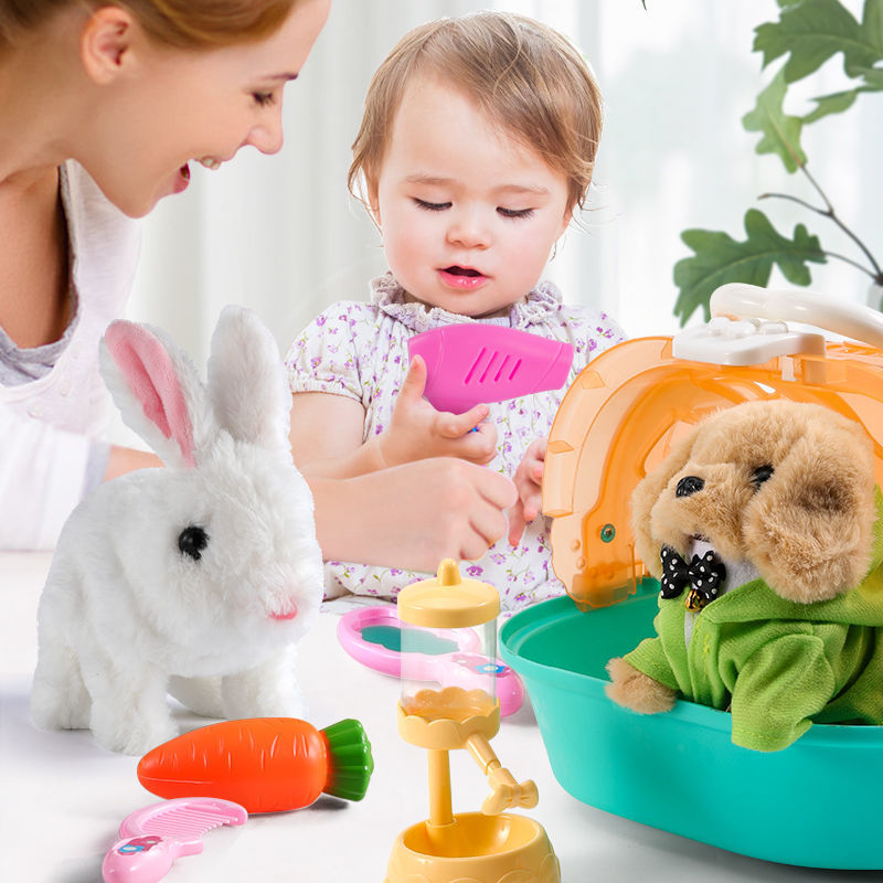 毛绒娃娃玩具狗公仔新款兔子儿童生日礼物益智力34岁以上女孩