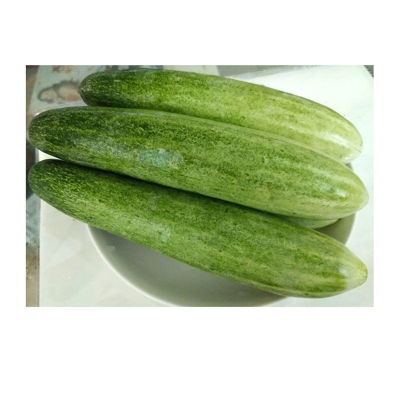 75810-农家自种老品种黄瓜旱黄瓜水果黄瓜云南当季新鲜蔬菜无刺黄瓜生吃-详情图