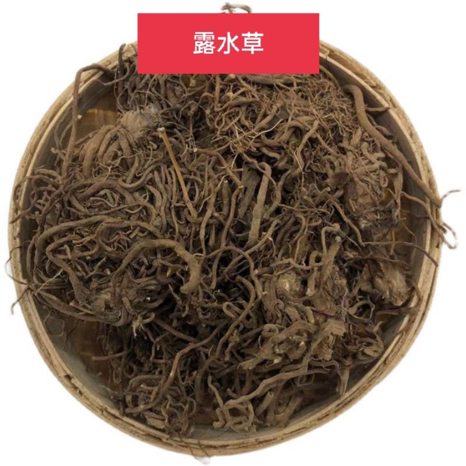 云南中药材露水草 鸡冠参 换肺草 露水草根 珍珠露水草500克包邮