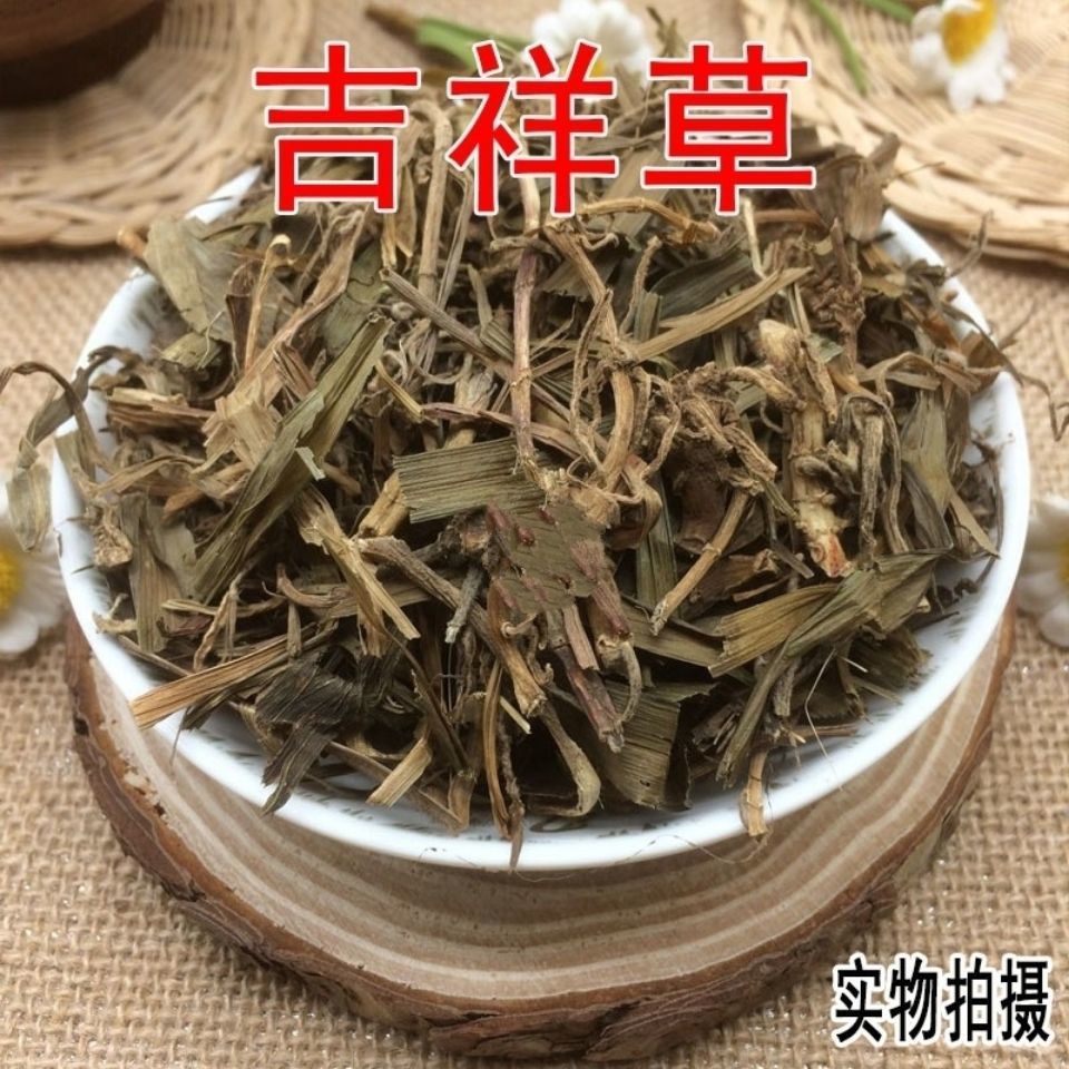 正品观音草 中药材野生吉祥草 晕草 小叶万年青 玉带草