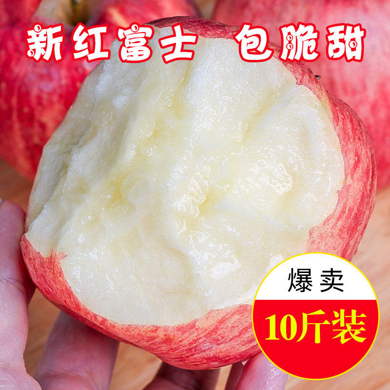 75848-现摘陕西红富士苹果正宗脆甜冰糖心苹果整箱批发当季新鲜水果批发-详情图
