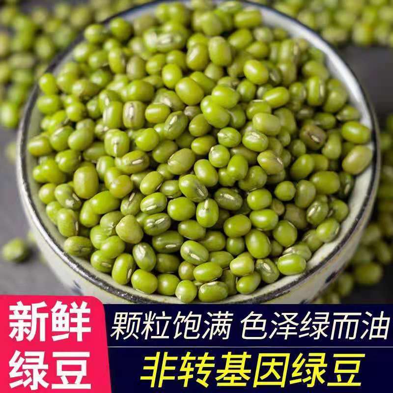 大粒绿豆 农家大绿豆去皮脱皮绿豆糕饼绿豆汤材料新鲜豆芽笨绿豆