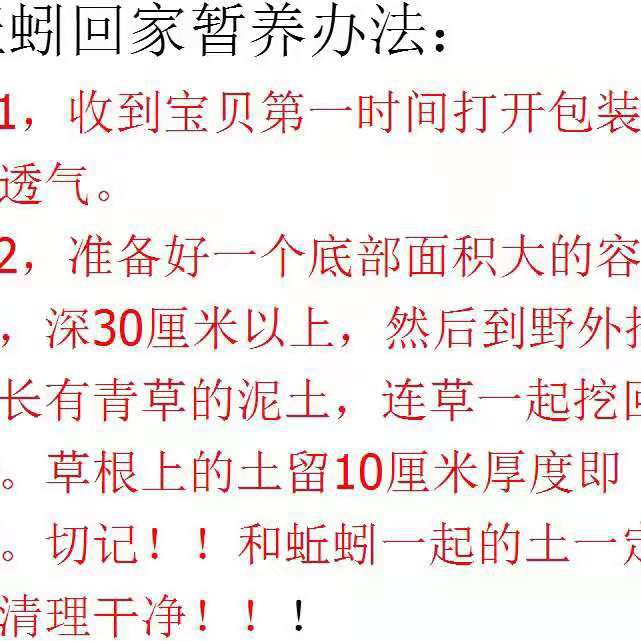 75743-包邮活饵特大黑蚯蚓青蚯蚓鲜活野生大蚯蚓臭蚯蚓活体地龙鱼饵蚯蚓-详情图