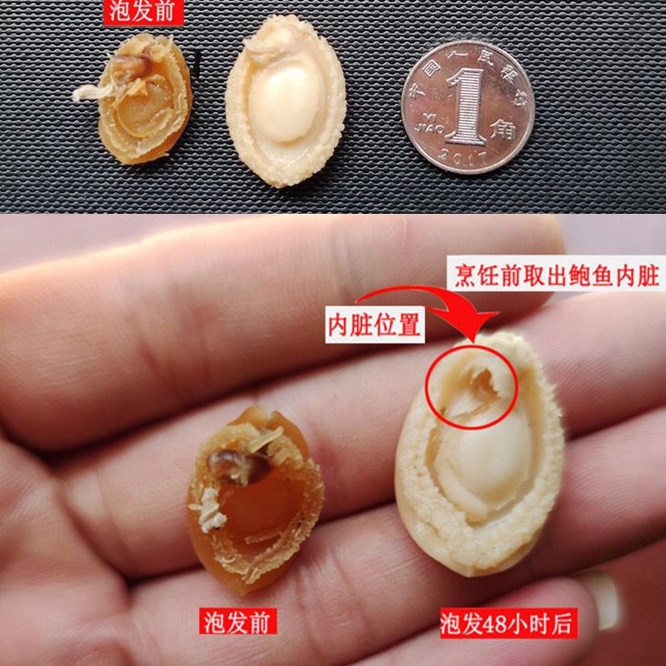 75760-鲍鱼干货宝宝辅食煲粥煮汤炖汤食材下饭菜海产干贝类海鲜干货批发-详情图