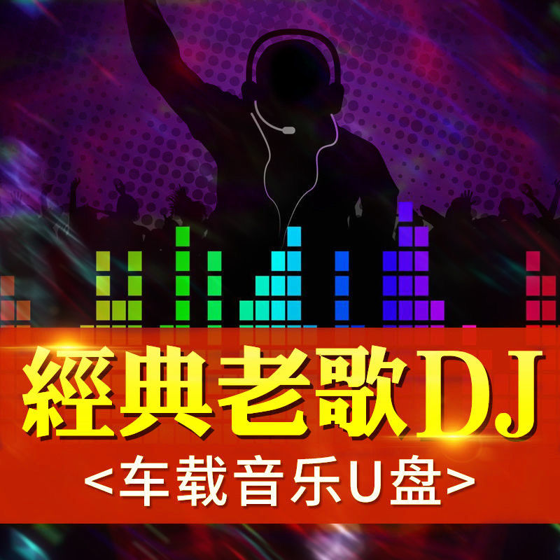 经典老歌dj音乐u盘怀旧老歌慢摇串烧dj舞曲u盘一剪梅至少还有你d