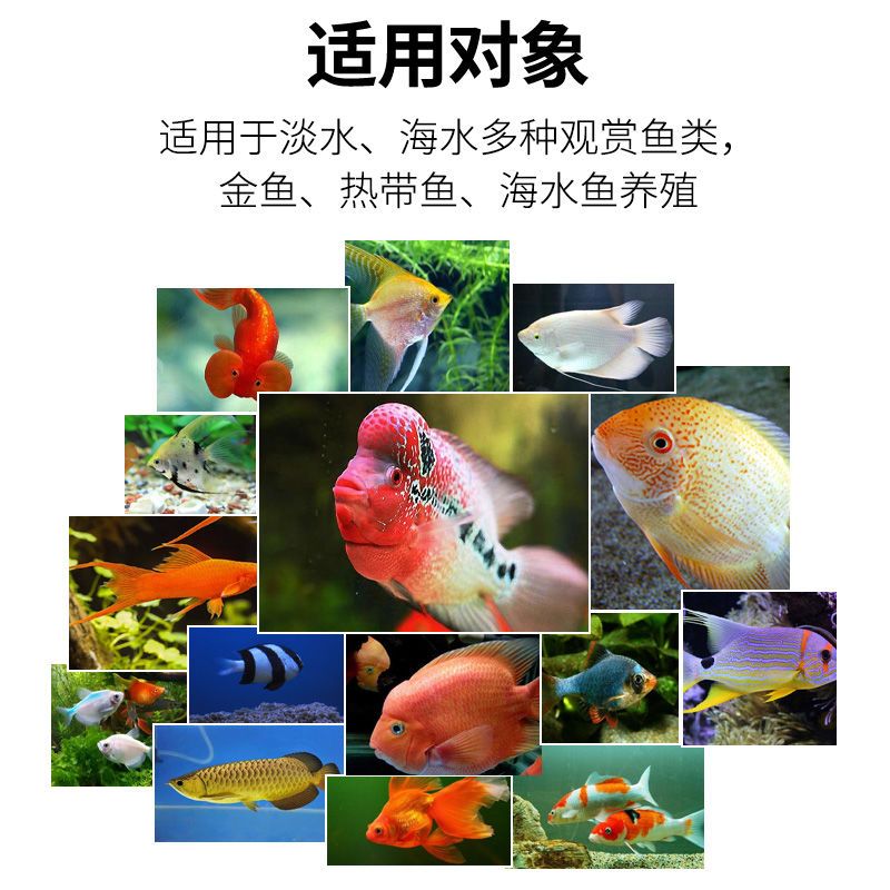 敌百虫片鱼缸水族专用金鱼锦鲤兰寿杀外寄生虫鱼虱改善擦缸缩鳍等 虎窝拼